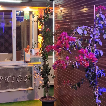 Zeytindali Дидим